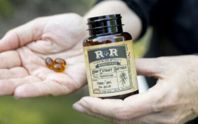 Top 5 Cannabis Brands to Try for Your Needs