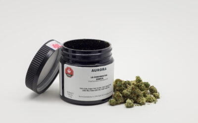 How to Read Cannabis Labels Without Getting Confused