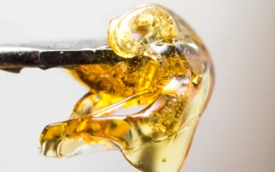 Best Cannabis Concentrates for Dabbing Beginners
