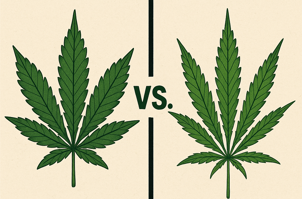 Indica vs. Sativa: What You Should Know Before Buying