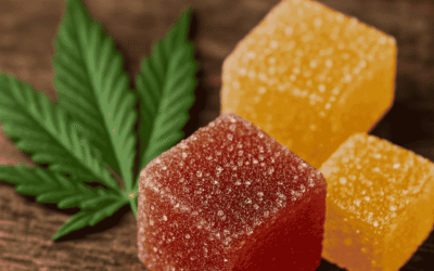 Top 5 THC Gummies You Can Find at Cana Dispensary