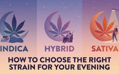 Indica vs. Sativa vs. Hybrid: How to Choose the Right Strain for Your Evening