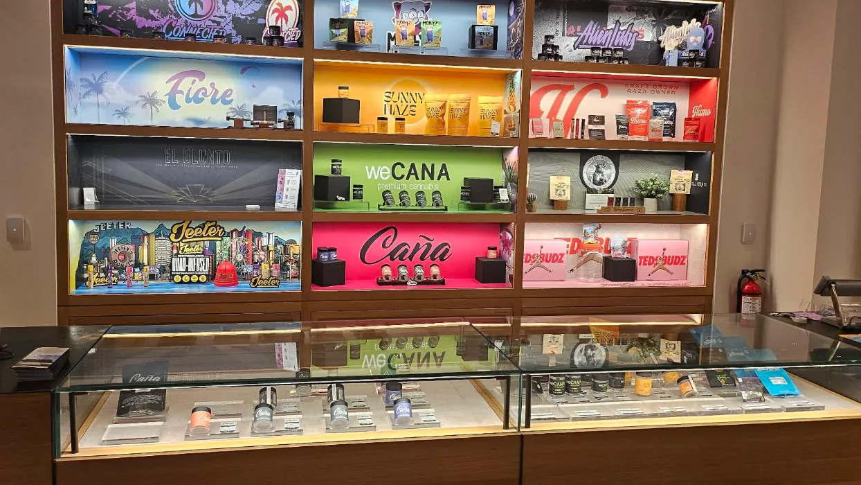The lit brand wall at Caña Beverly, twelve backlit niches including the Caña shelf
